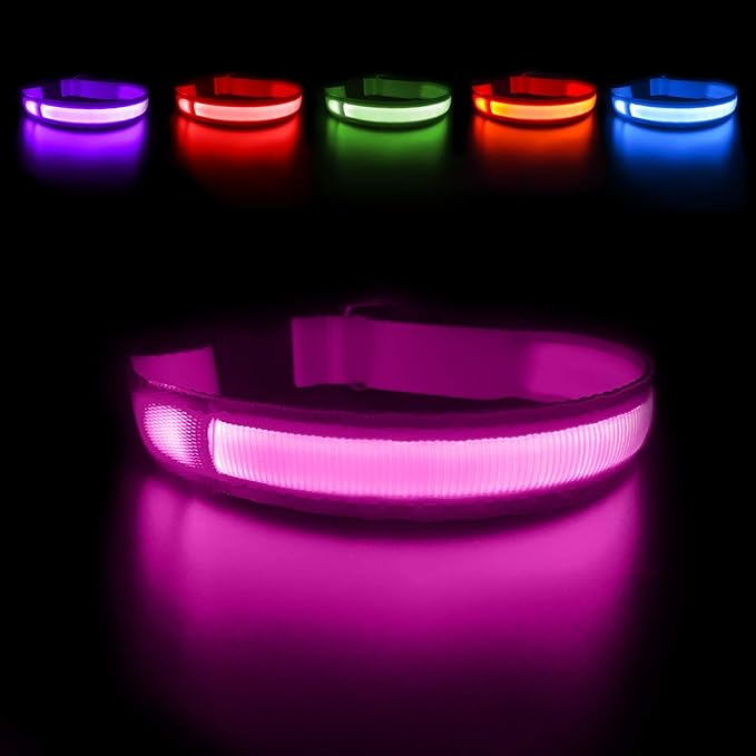Paw Room™ LED Leuchthalsband