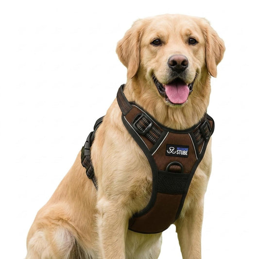 Paw Room™ Anti-Zug Hundegeschirr
