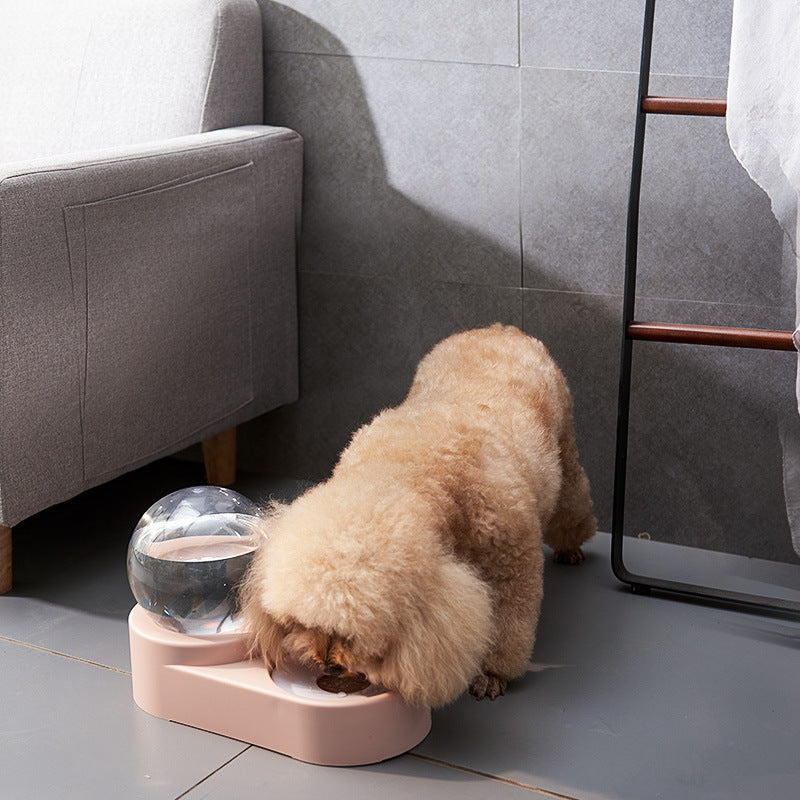 Paw Room™ Wasser-Futter-Station 2-in-1