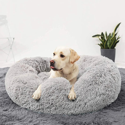 Paw Room™ Premium Hundebett