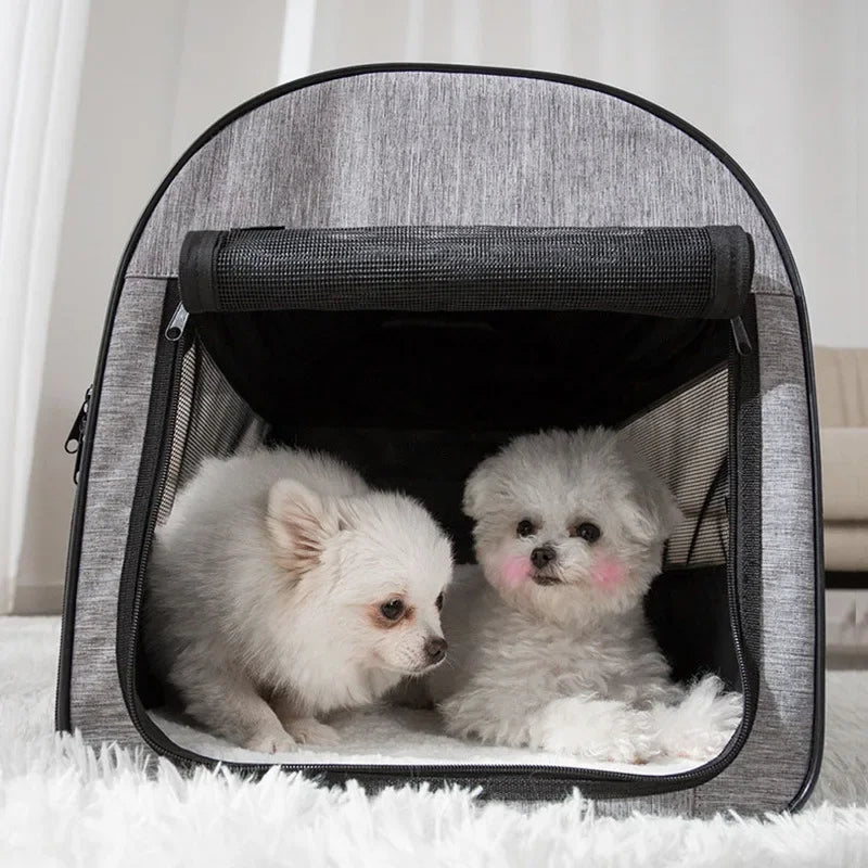 Paw Room™ Faltbare Hunde-Transporttasche