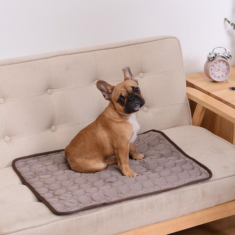 Paw Room™ Kühlmatte für Haustiere