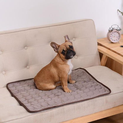 Paw Room™ Kühlmatte für Haustiere