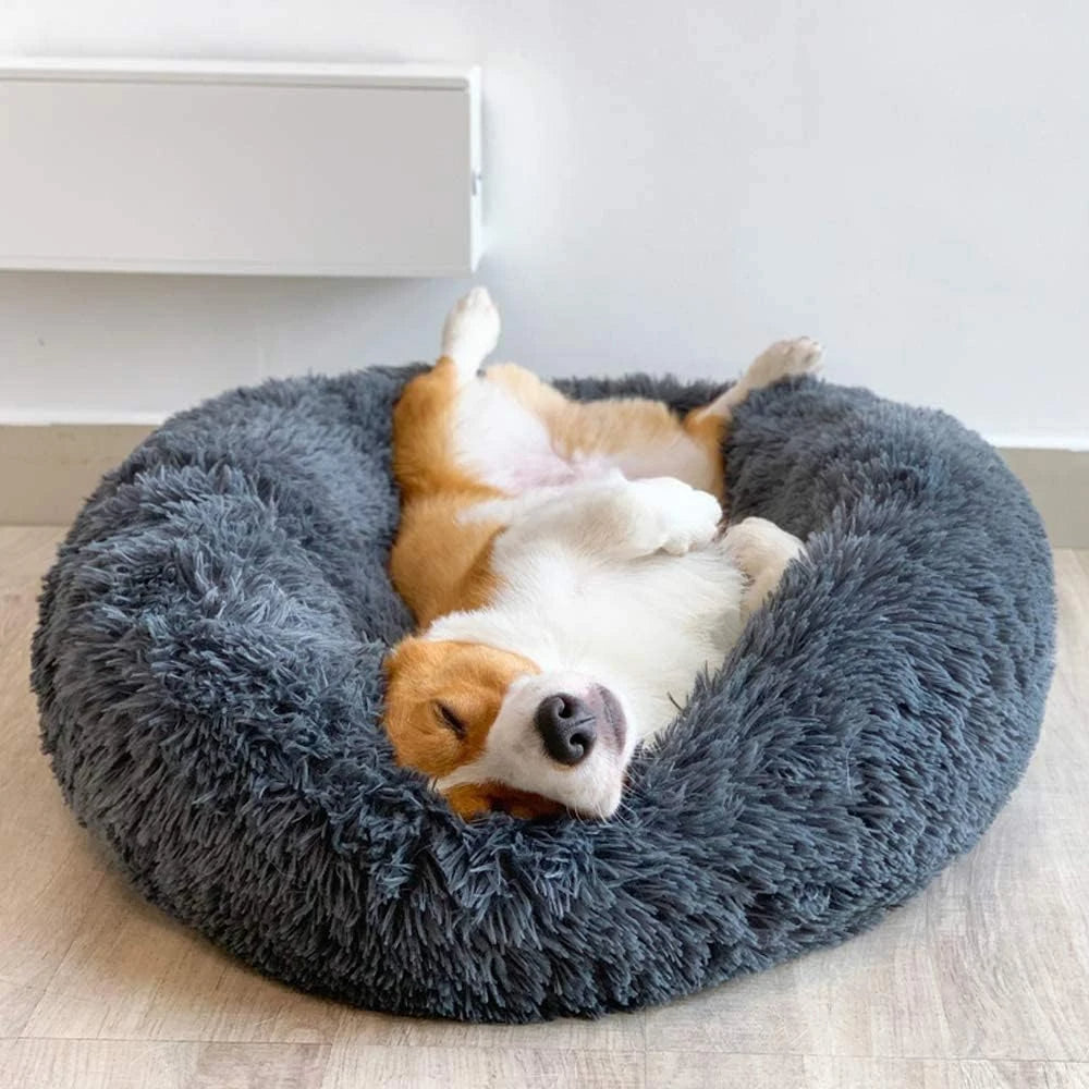 Paw Room™ Premium Hundebett