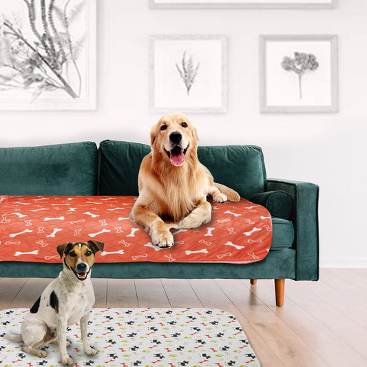 Paw Room™ PipiPad – Inkontinenzmatte für Hunde