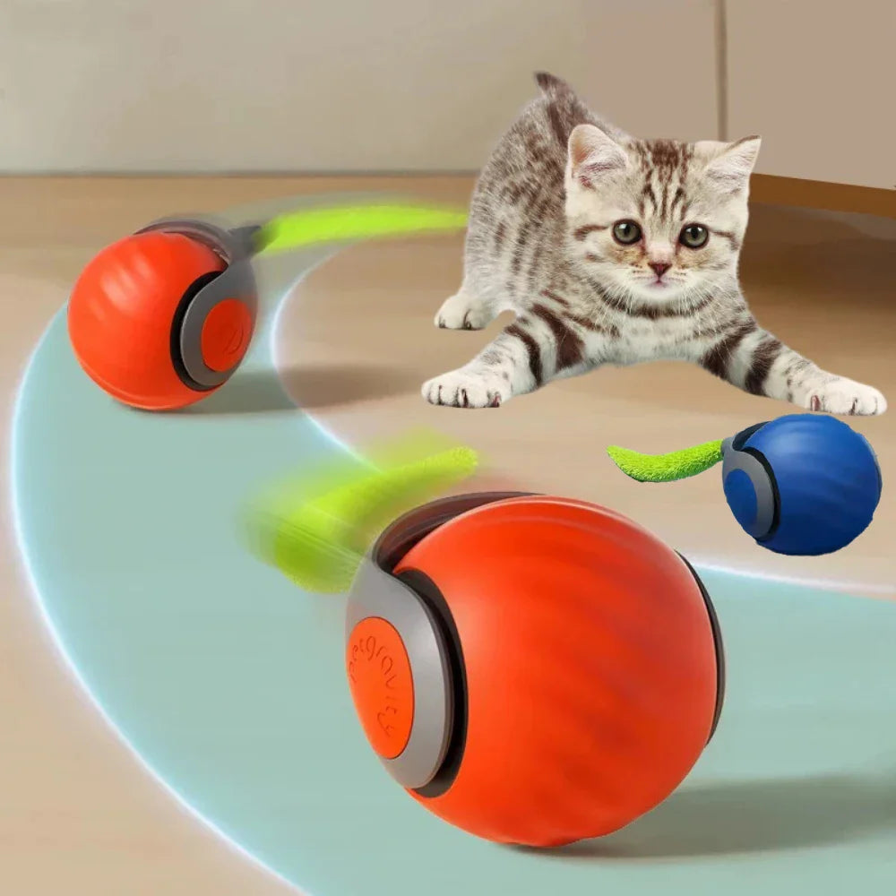 Paw Room™ CatRocket