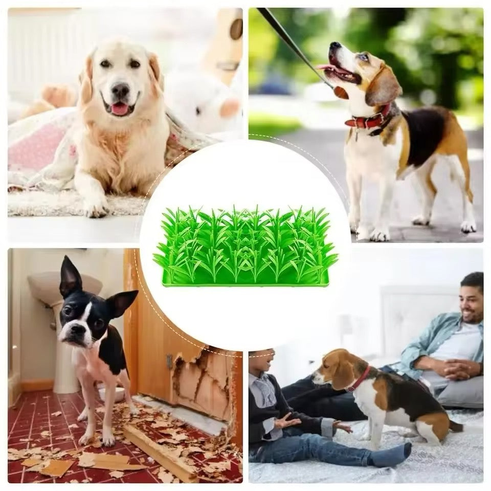 Paw Room™ Leckerli-Wiese – Interaktives Schnüffelspielzeug