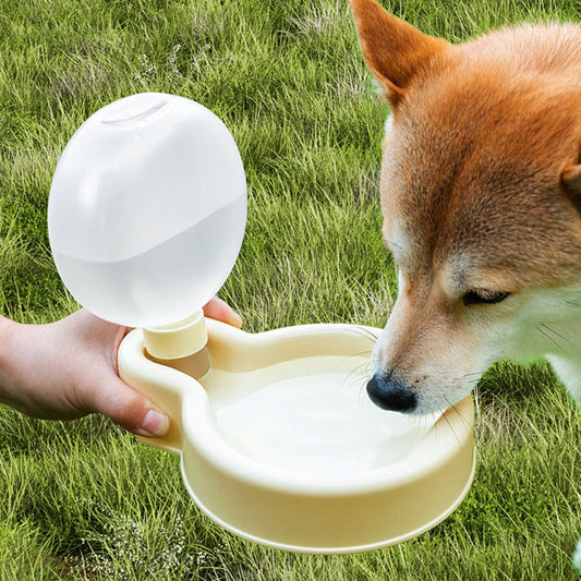 Paw Room™ Tragbarer Wassernapf für unterwegs