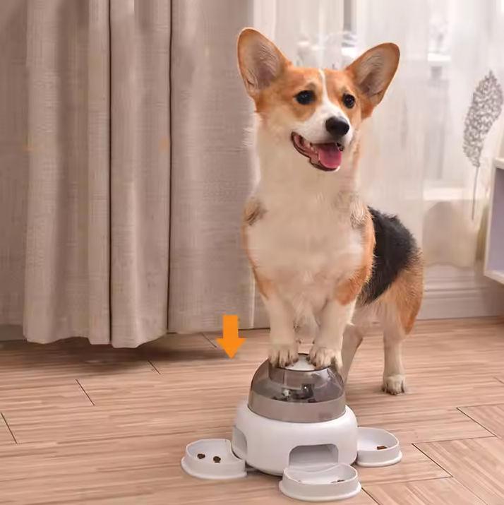 Paw Room™ Hundefutter-Spender mit transparenter Kammer