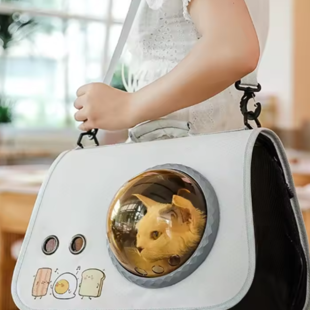 Paw Room™ Haustier-Reisetasche für Flug & Auto