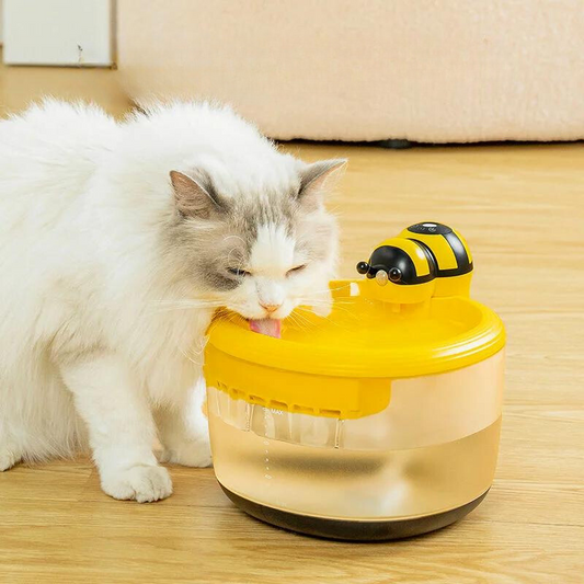 Paw Room™ Automatischer Wasserbrunnen im Bienen-Design