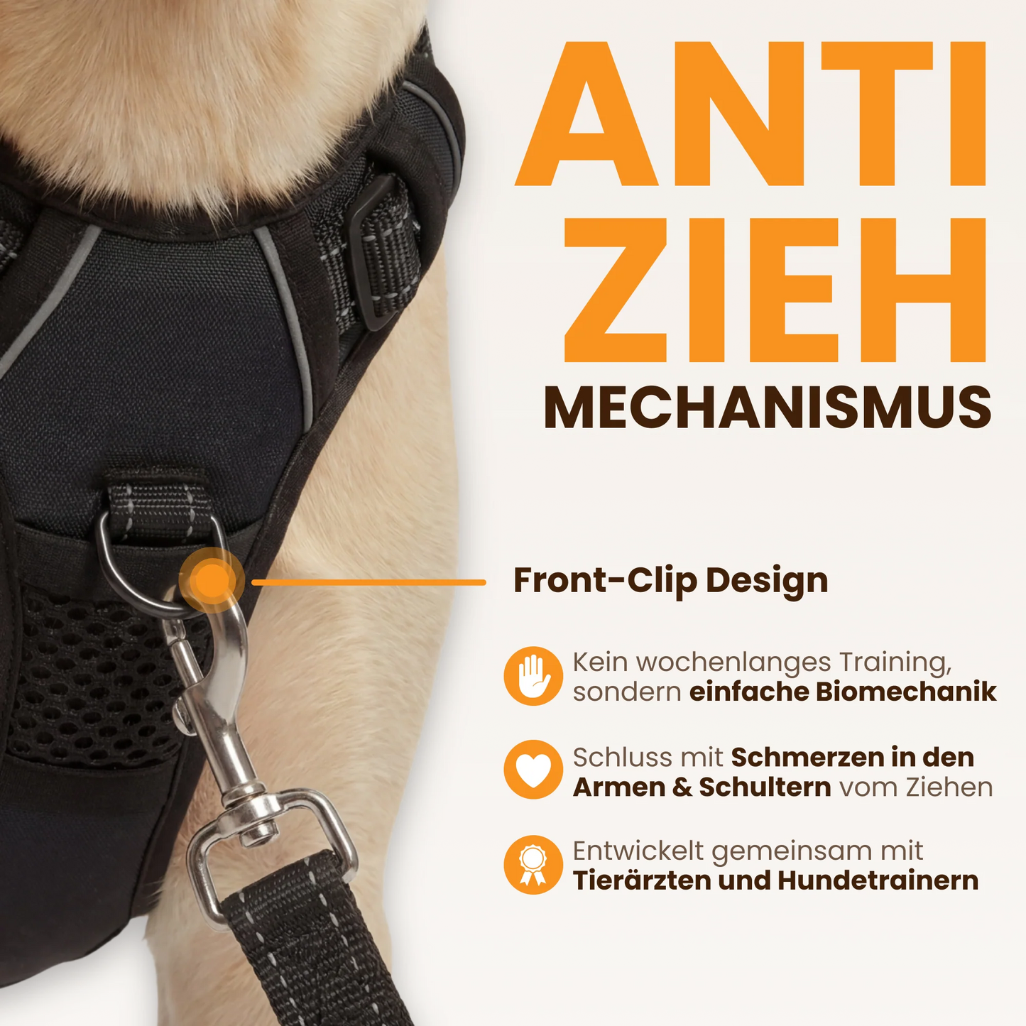 Paw Room™ Anti-Zieh-Geschirr