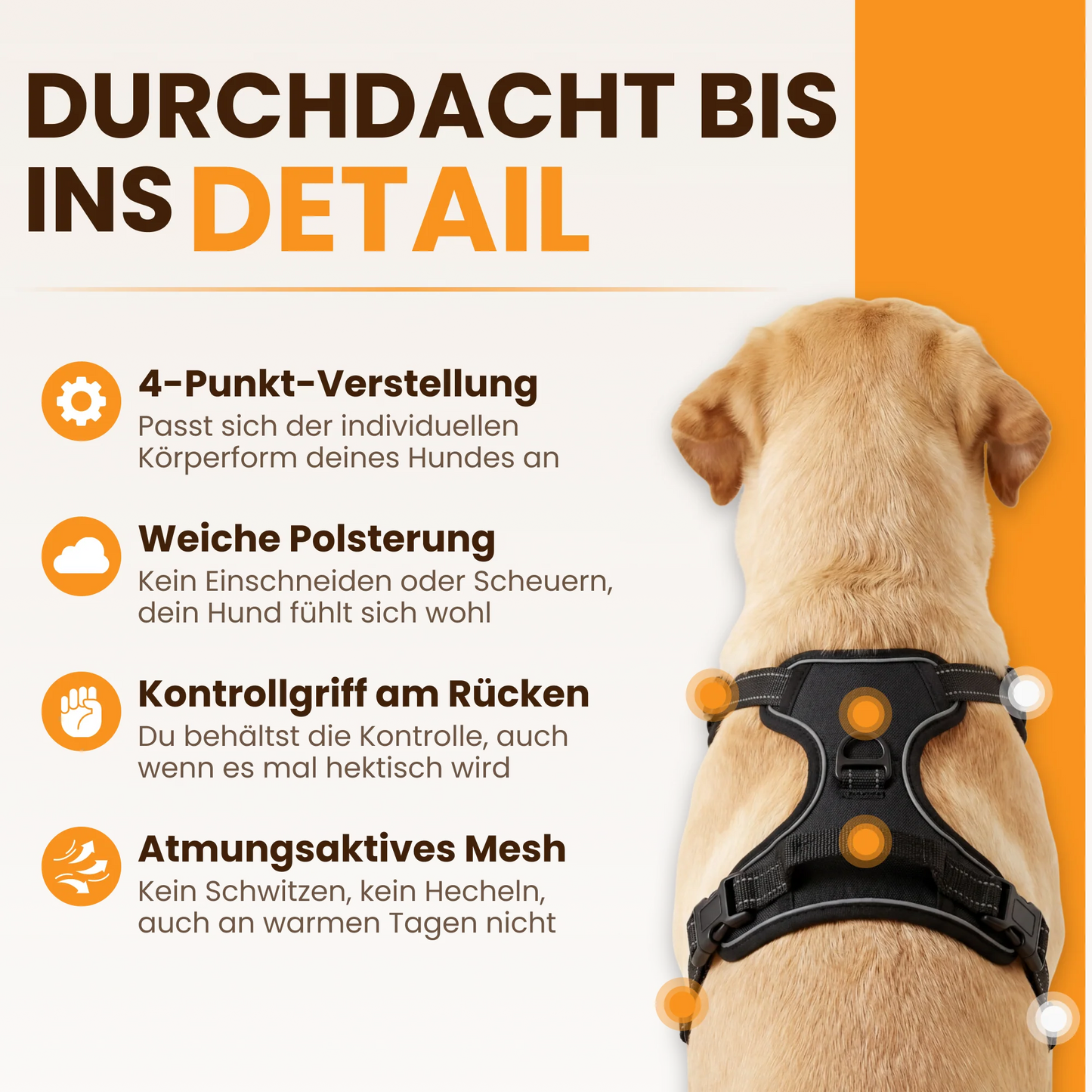 Paw Room™ Anti-Zieh-Geschirr