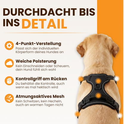 Paw Room™ Anti-Zieh-Geschirr