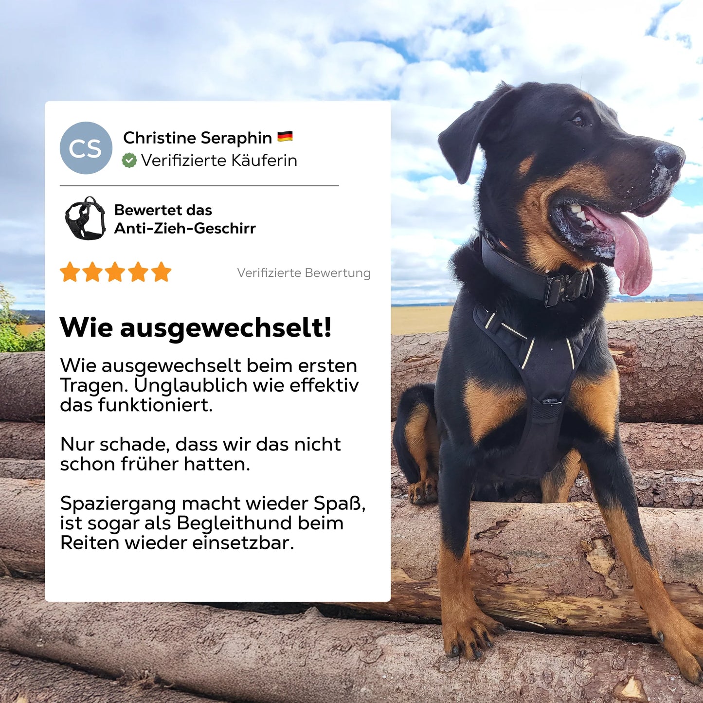 Paw Room™ Anti-Zieh-Geschirr