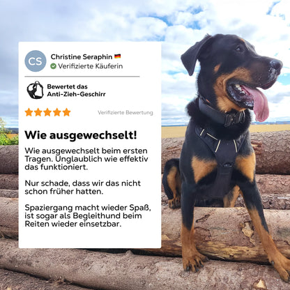 Paw Room™ Anti-Zieh-Geschirr