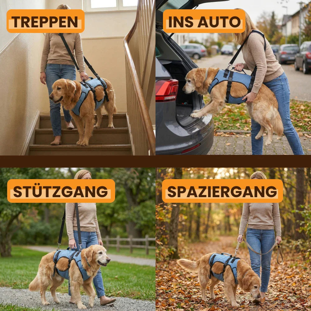 Paw Room™ Mobilitätsgeschirr