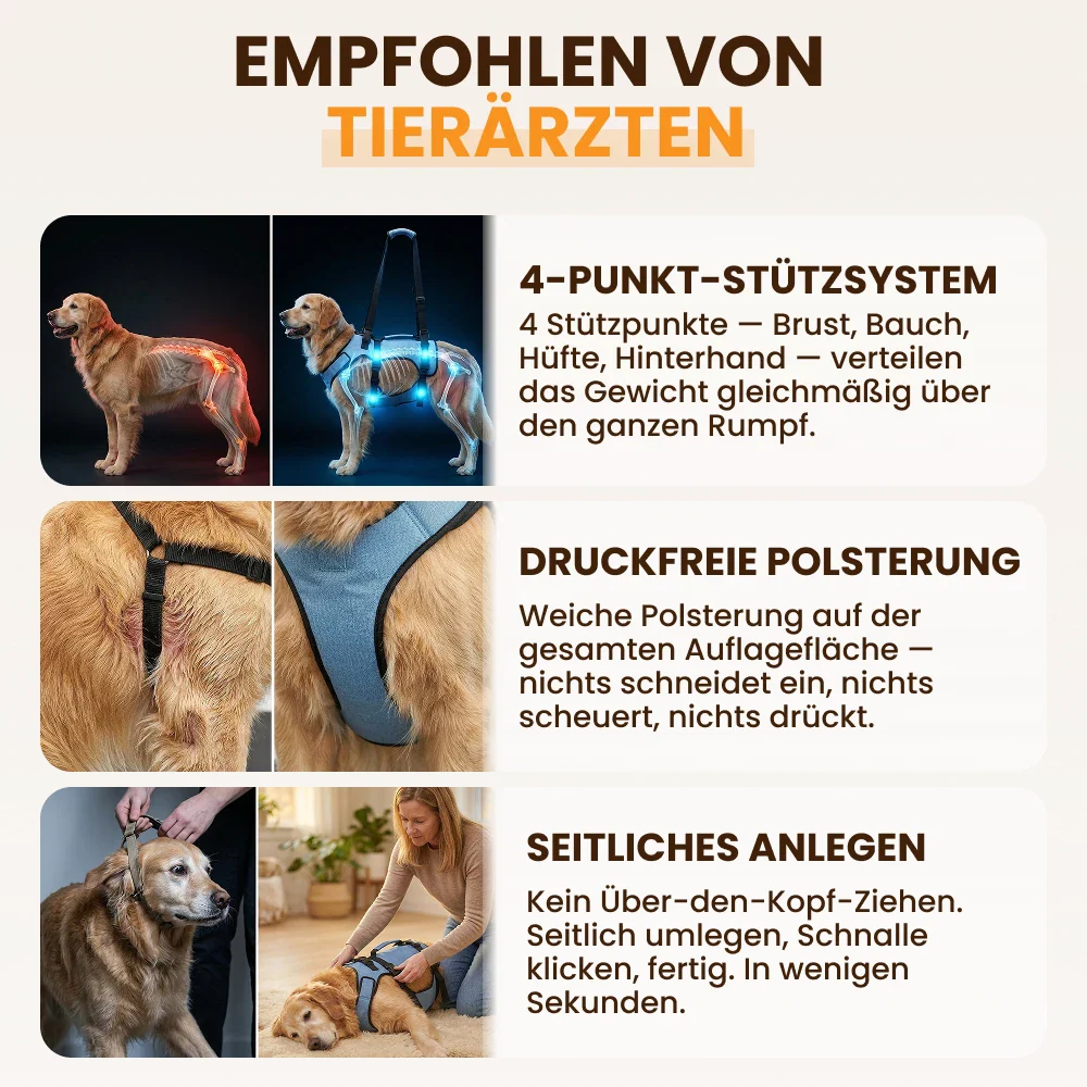 Paw Room™ Mobilitätsgeschirr