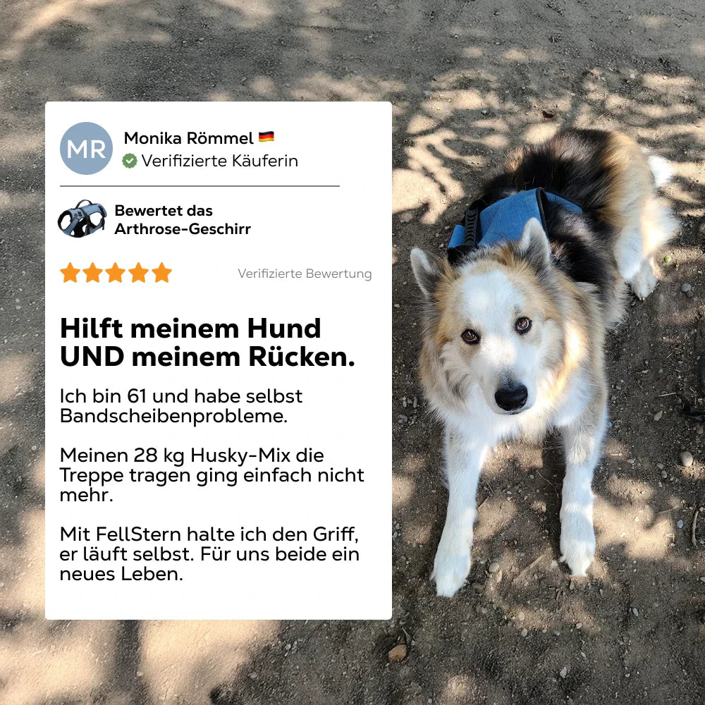 Paw Room™ Mobilitätsgeschirr