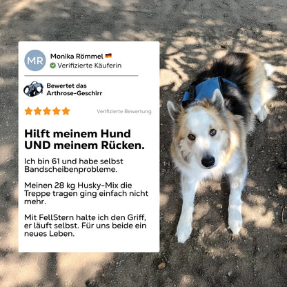 Paw Room™ Mobilitätsgeschirr