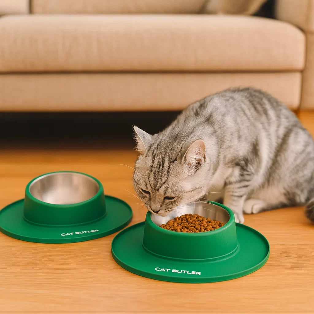 Paw Room™ Edelstahl-Futternapf für Katzen