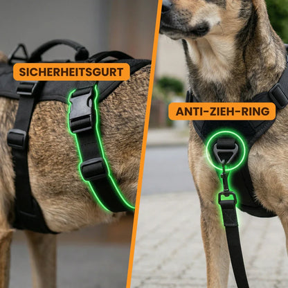 Paw Room™ Anti-Zieh-Sicherheitsgeschirr