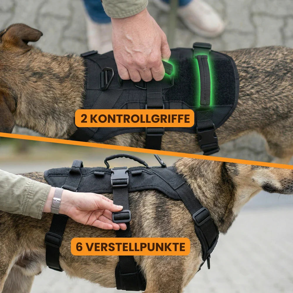 Paw Room™ Anti-Zieh-Sicherheitsgeschirr