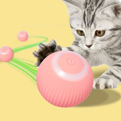 Paw Room™ Interaktives Katzenspielzeug