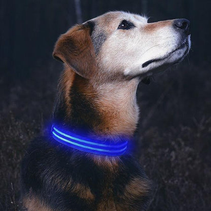 Paw Room™ LED Leuchthalsband