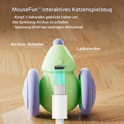 Paw Room™ MouseFun