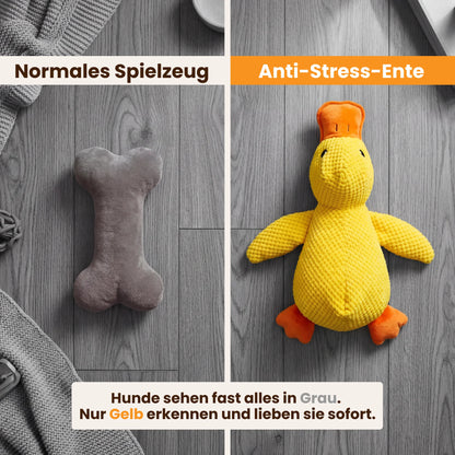 Paw Room™ Anti-Stress-Ente