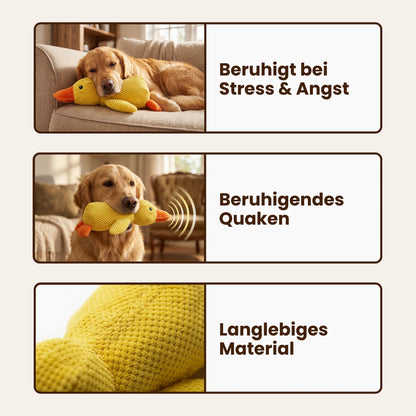Paw Room™ Anti-Stress-Ente