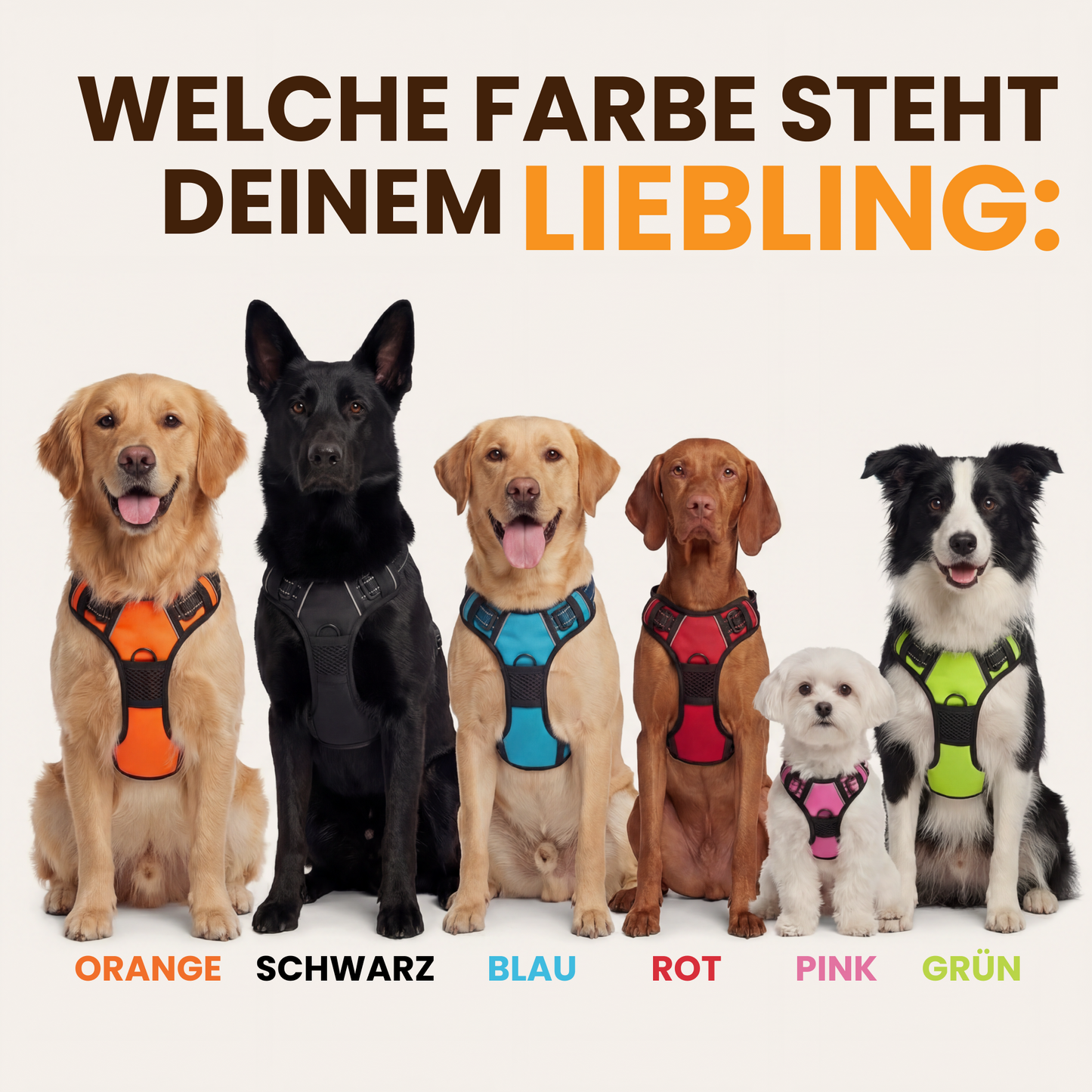 Paw Room™ Anti-Zieh-Geschirr