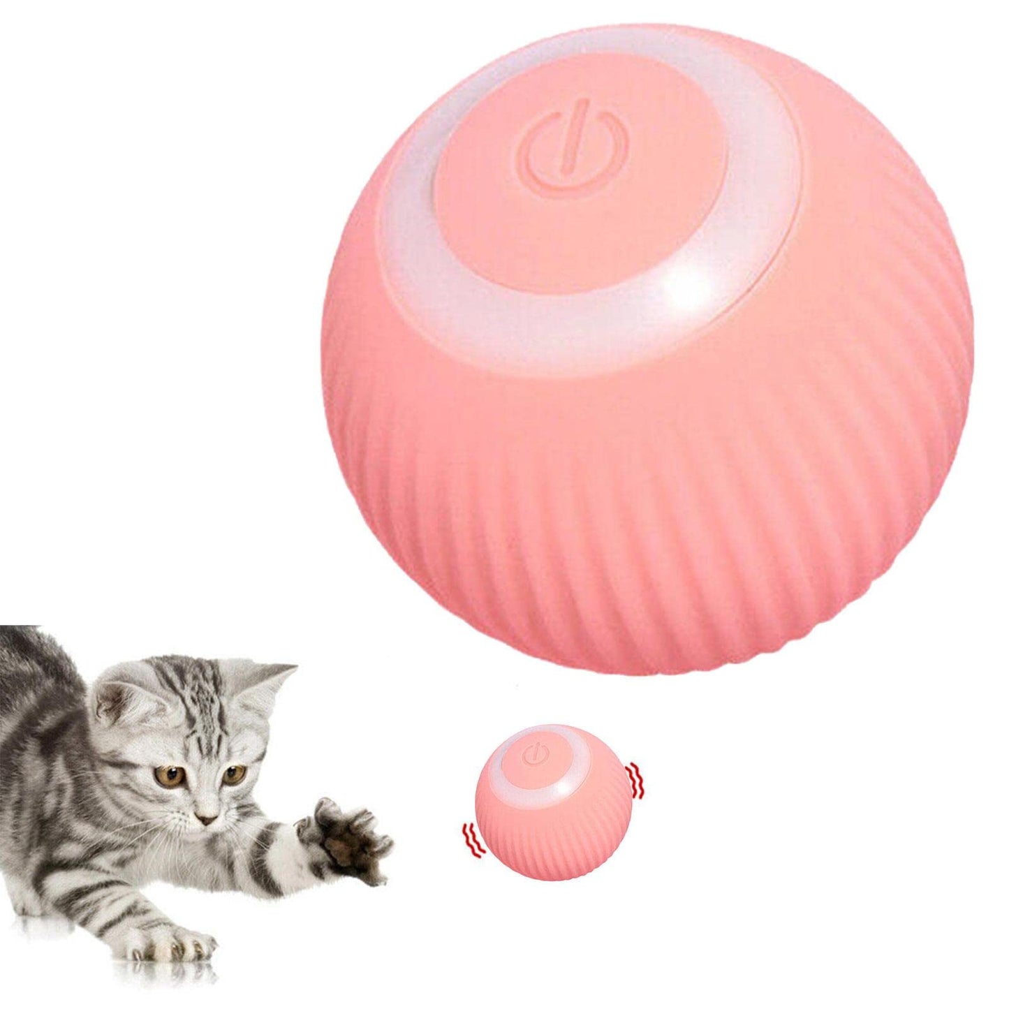 Paw Room™ Interaktives Katzenspielzeug