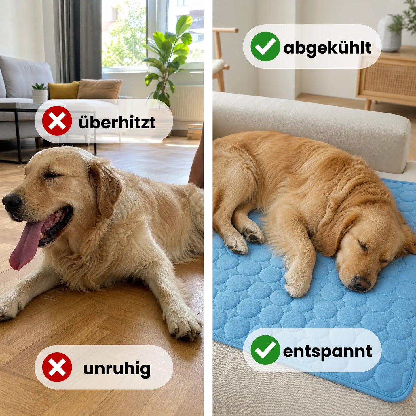 Paw Room™ Kühlmatte