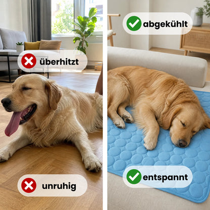 Paw Room™ Kühlmatte