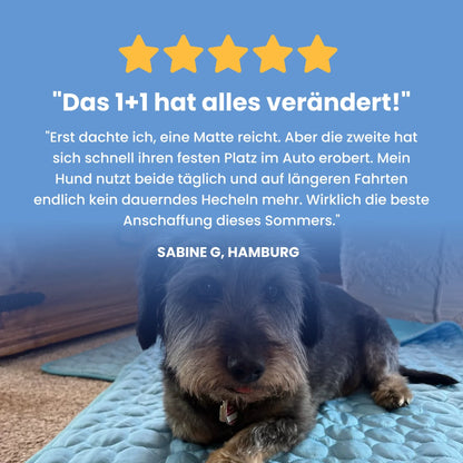 Paw Room™ Kühlmatte