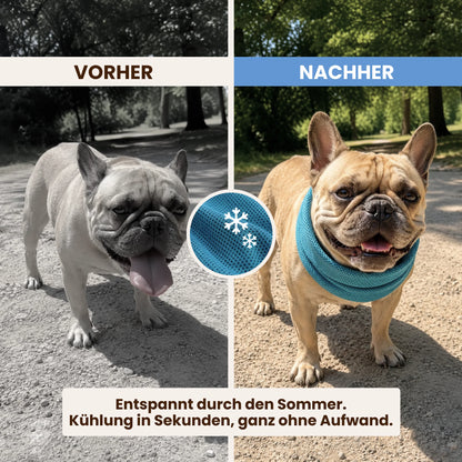 Paw Room™ Kühlhalstuch