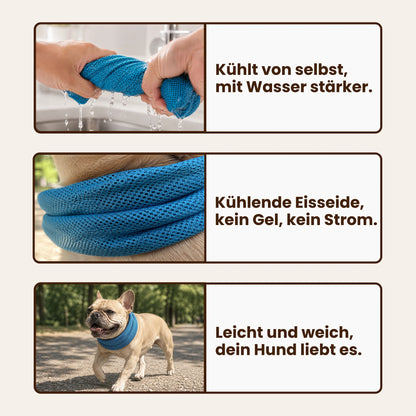 Paw Room™ Kühlhalstuch