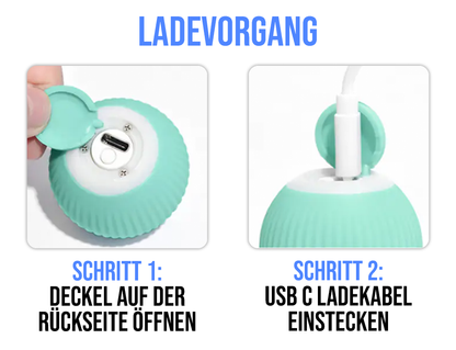 Paw Room™ Interaktives Katzenspielzeug