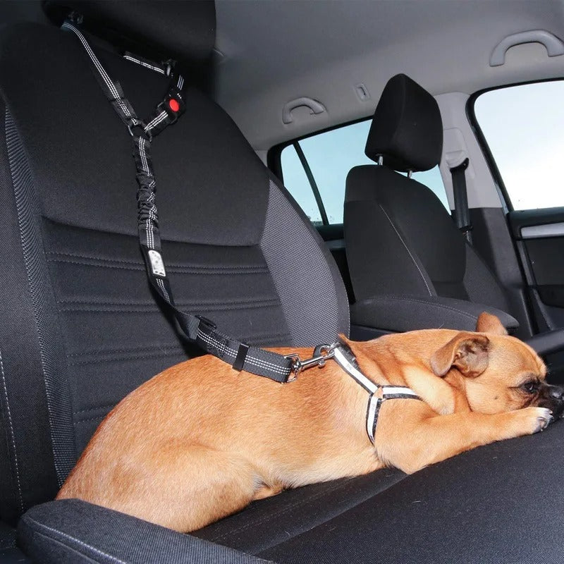 Paw Room™ Auto-Sicherheitsgurt für Hunde