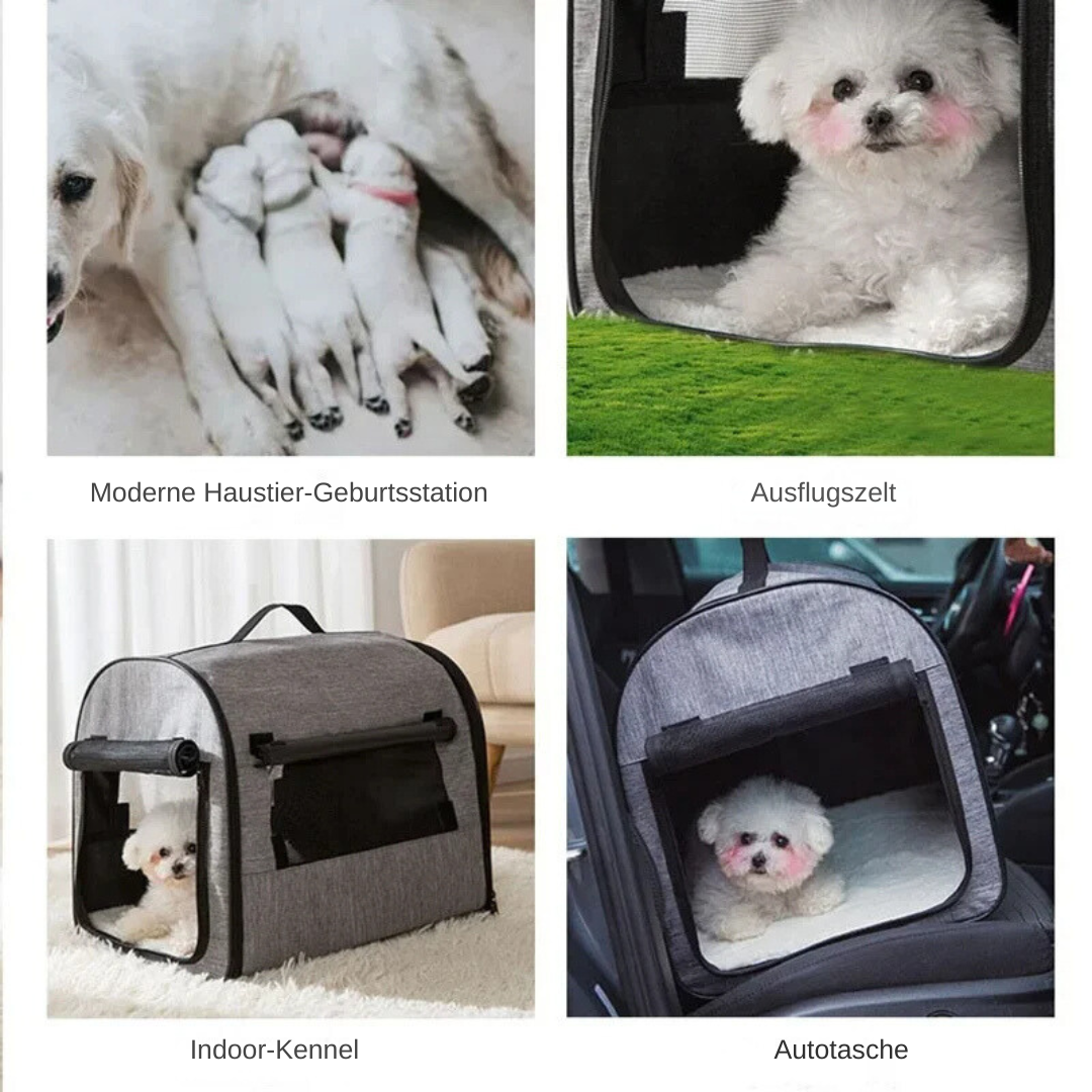 Paw Room™ Faltbare Hunde-Transporttasche