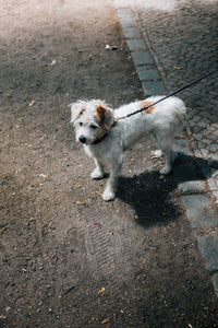 Kundenfoto