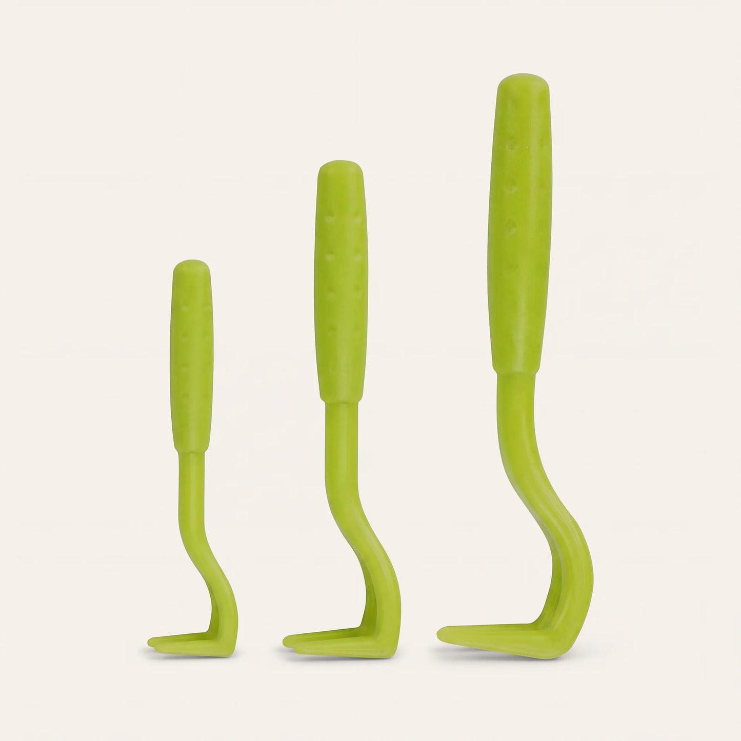 Paw Room™ Zeckenhaken 3er-Set